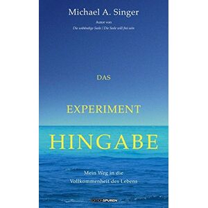 Singer, Michael A. - Das Experiment Hingabe: Mein Weg in die Vollkommenheit des Lebens