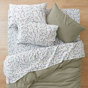 Morgan & Finch Coolabah Queen Sheet Set