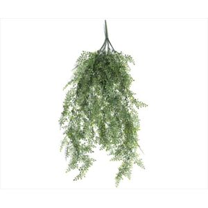 Hanging Plant Maiden Hair Fern UV Resistant 90cm