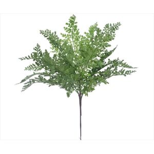 Maden Hair Fern Stem 40cm