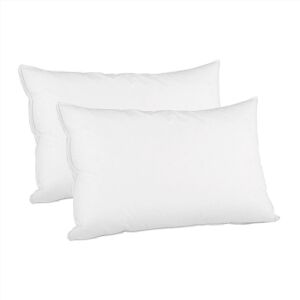 Giselle Feather Pillows Goose Feather Down Pillow - Set of 2