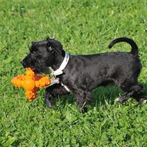 Major Dog Octopus Retrieval Ball - Small - Fetch Toy