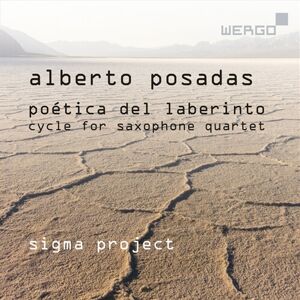 Posadas: Sigma Project Poetica Del Laberinto CD