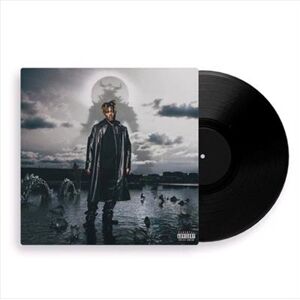 Juice Wrld Fighting Demons Vinyl