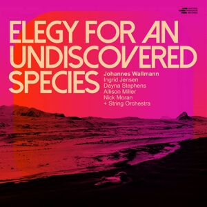 Johannes Wallmann Elegy For An Undiscovered Spec CD