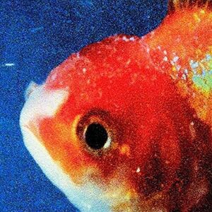 Vince Staples Big Fish Theory Vinyl