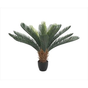 Cyac Cycad Plant 60cm