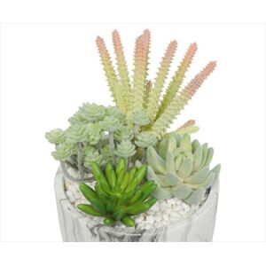 Potted Succulent Bowl With Marble Pot 20.5cm