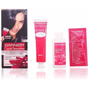 Garnier Color Sensation 2,10 negro azulado