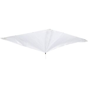 Leckagen-Umleiter für Dächer, BxH 3050 x 3050 mm, transparent PIG