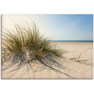 Artland Wandbild »Strandgras«, Küste, (1 St.), als Alubild, Outdoorbild,... Farbe Bild(er): naturfarben Größe