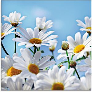 Artland Glasbild »Blumen - Margeriten«, Blumen, (1 St.), in verschiedenen... Farbe Bild(er): weiss Größe
