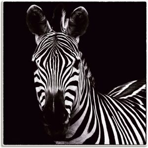 Artland Wandbild »Zebra II«, Wildtiere, (1 St.), als Leinwandbild,... Farbe Bild(er): schwarz Größe