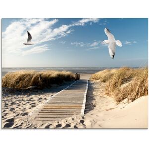 Artland Glasbild »Nordseestrand auf Langeoog mit Möwen«, Strand, (1 St.), in... Farbe Bild(er): blau Größe