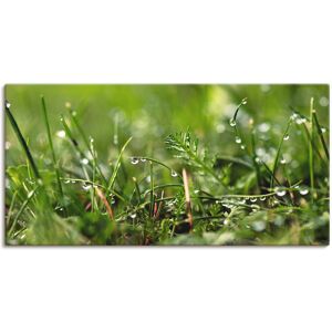 Artland Wandbild »Tautropfen«, Gräser, (1 St.), als Alubild, Outdoorbild,... Farbe Bild(er): grün Größe
