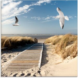 Artland Glasbild »Nordseestrand auf Langeoog mit Möwen«, Strand, (1 St.), in... Farbe Bild(er): blau Größe