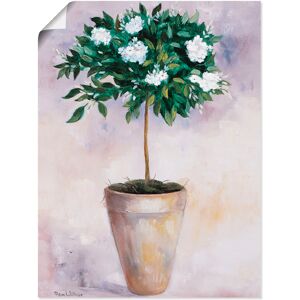 Artland Wandbild »Winterjasmin«, Pflanzen, (1 St.), als Poster, Wandaufkleber... Farbe Bild(er): weiss Größe