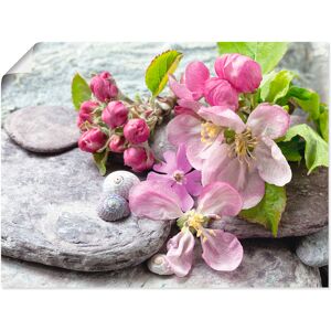 Artland Wandbild »Apfelblüten«, Blumen, (1 St.), als Leinwandbild, Poster,... Farbe Bild(er): pink Größe