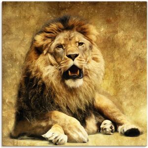 Artland Wandbild »Der König - Löwe«, Wildtiere, (1 St.), als Leinwandbild,... Farbe Bild(er): braun Größe