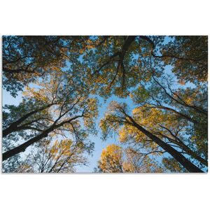 Artland Wandbild »Herbst im Wald«, Bäume, (1 St.), als Alubild, Outdoorbild,... Farbe Bild(er): blau Größe