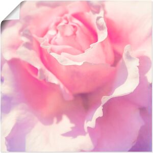 Artland Wandbild »Rosa«, Blumen, (1 St.), als Leinwandbild, Poster,... Farbe Bild(er): pink Größe