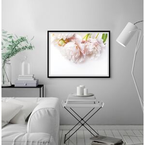 queence Bild »Maike«, Blumen, gerahmt, Rosen Farbe Rahmen: schwarz + Farbe Bild(er): rosa Größe