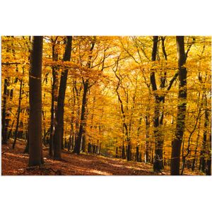 Artland Wandbild »Spaziergang im Herbstwald«, Wald, (1 St.), als Alubild,... Farbe Bild(er): goldfarben Größe