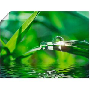 Artland Wandbild »Grüner Hintergrund mit Gras«, Gräser, (1 St.), als... Farbe Bild(er): grün Größe