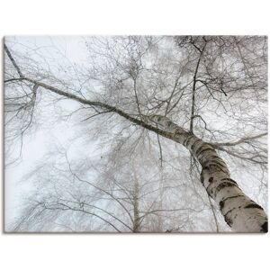 Artland Wandbild »Winter Birke«, Bäume, (1 St.), als Leinwandbild,... Farbe Bild(er): grau Größe