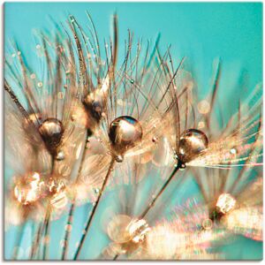Artland Leinwandbild »Pusteblume Goldener Tau«, Blumen, (1 St.), auf... Farbe Bild(er): blau Größe