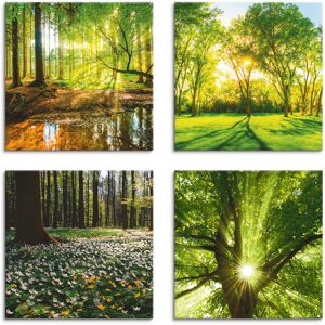 Artland Leinwandbild »Wald Bach Frühling Windrosen Sonne Baum«, Wald, (4... Farbe Bild(er): grün Größe