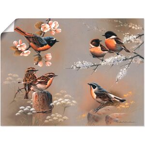 Artland Wandbild »Vogel Komposition«, Vögel, (1 St.), als Leinwandbild,... Farbe Bild(er): braun Größe