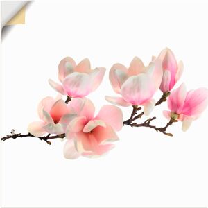 Artland Wandbild »Magnolie«, Blumen, (1 St.), als Leinwandbild, Poster,... Farbe Bild(er): pink Größe