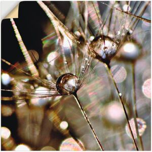 Artland Wandbild »Pusteblume abstrakt«, Blumen, (1 St.), als Leinwandbild,... Farbe Bild(er): goldfarben Größe