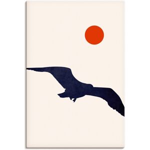 Artland Leinwandbild »Möwe«, Vogelbilder, (1 St.), auf Keilrahmen gespannt Farbe Bild(er): weiss Größe