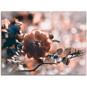 Artland Wandbild »Rose«, Blumen, (1 St.), als Leinwandbild, Wandaufkleber in... Farbe Bild(er): silberfarben Größe