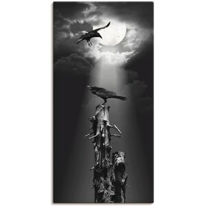 Artland Wandbild »Raben in der Nacht«, Vögel, (1 St.), als Leinwandbild,... Farbe Bild(er): schwarz Größe