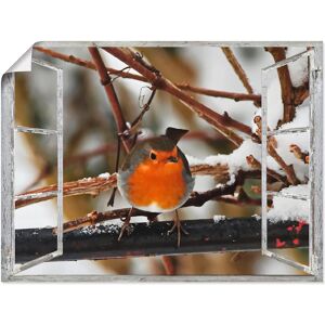 Artland Wandbild »Fensterbild - Rotkehlchen«, Vögel, (1 St.), als Poster,... Farbe Bild(er): rot Größe