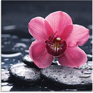 Artland Glasbild »Stillleben mit Kiesel und einer Orchidee«, Blumen, (1 St.),... Farbe Bild(er): pink Größe