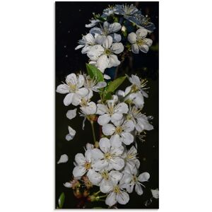 Artland Glasbild »Baumblüte«, Blumen, (1 St.), in verschiedenen Grössen Farbe Bild(er): schwarz Größe
