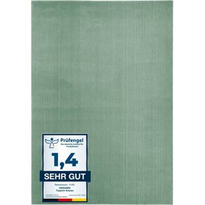 Andiamo Teppich »Arezzo«, rechteckig, 16 mm Höhe, Uni Farben, weicher Flor,... salbeigrün Größe B: 120 cm 1 St.