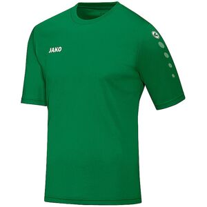 JAKO Herren Trikot Team grün Größe: XL 4233 Auf Lager Herren XL