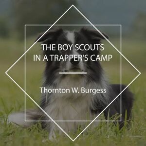 Erika The Boy Scouts in a Trapper's Camp