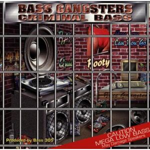 Bass Gangsters - Criminal Bass
