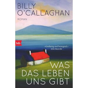 Was das Leben uns gibt: Roman