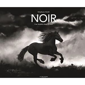 Stéphane Kiehl - Noir: Une histoire dans la nuit