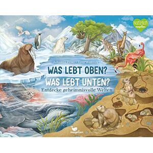 Johanna Prinz - Was lebt oben? Was lebt unten?: Entdecke geheimnisvolle Welten