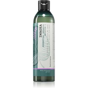 Elgon Green Imagea Essential Shampoo Shampoo 250 ml