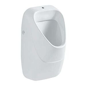 Geberit Urinal Alivio 238050000 weiss, Zulauf oben, Abgang hinten oder unten