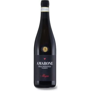 Allegrini Amarone Classico, Wein Sortiment, 2017, 75 Cl